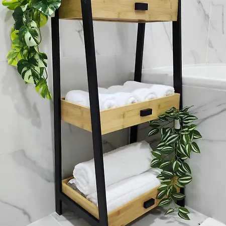 Bright Corner Pacii *