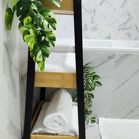 Bright Corner Pacii *