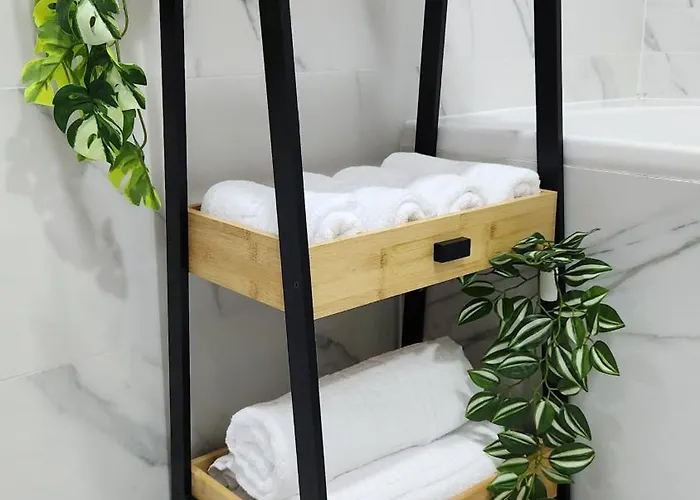 Bright Corner Pacii *