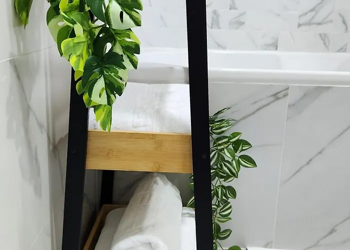 Bright Corner Pacii *