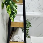 Bright Corner Pacii *